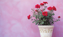 Load image into Gallery viewer, Ditsy Blooms IOD Paint Inlay