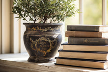 Load image into Gallery viewer, Etiquettes IOD GILDED TRANSFER