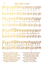 Load image into Gallery viewer, Tinsel IOD Foil Decorative Transfer *Limited Release*