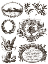 Load image into Gallery viewer, Gloria IOD Paint Inlay *Limited Release*