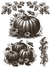 Load image into Gallery viewer, Gloria IOD Paint Inlay *Limited Release*