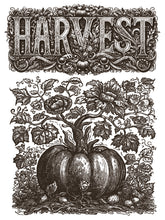 Load image into Gallery viewer, Gloria IOD Paint Inlay *Limited Release*