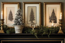 Load image into Gallery viewer, Gloria IOD Paint Inlay *Limited Release*