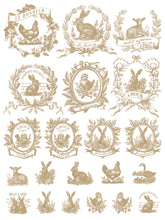 Load image into Gallery viewer, Spring Melody IOD Paint Inlay