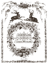 Load image into Gallery viewer, Twelfth Night IOD Paint Inlay *New Release*