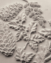 Load image into Gallery viewer, Winter Forage IOD Decor Mould *New Release*