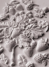 Load image into Gallery viewer, Wild Berries IOD Decor Mould