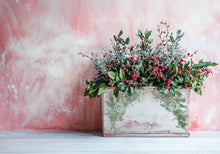 Load image into Gallery viewer, Holly & Pine IOD Decor Stamp *New Release*