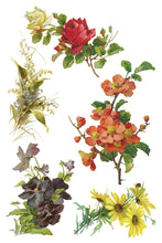 Load image into Gallery viewer, Catharina IOD Decor Transfer