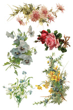 Load image into Gallery viewer, Catharina IOD Decor Transfer