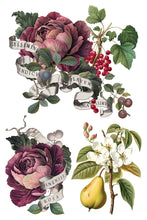 Load image into Gallery viewer, Clementine IOD Decor Transfer *New Release*