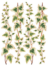 Load image into Gallery viewer, Collage de Fleurs IOD Decor Transfer