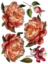Load image into Gallery viewer, Collage de Fleurs IOD Decor Transfer