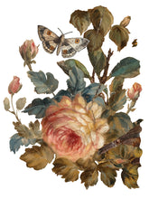 Load image into Gallery viewer, Joie des Roses IOD Decor Transfer