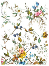 Load image into Gallery viewer, Lost Garden IOD Decor Transfer