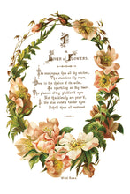 Load image into Gallery viewer, Lover of Flowers IOD Decor Transfer