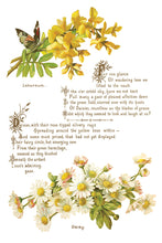 Load image into Gallery viewer, Lover of Flowers IOD Decor Transfer
