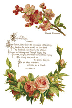 Load image into Gallery viewer, Lover of Flowers IOD Decor Transfer