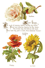 Load image into Gallery viewer, Lover of Flowers IOD Decor Transfer