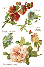 Load image into Gallery viewer, Lover of Flowers IOD Decor Transfer