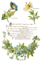 Load image into Gallery viewer, Lover of Flowers IOD Decor Transfer