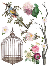 Load image into Gallery viewer, Menagerie IOD Decor Transfer