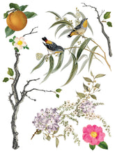 Load image into Gallery viewer, Menagerie IOD Decor Transfer