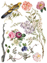 Load image into Gallery viewer, Menagerie IOD Decor Transfer