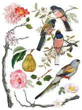 Load image into Gallery viewer, Menagerie IOD Decor Transfer