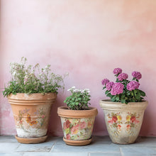 Load image into Gallery viewer, Saint Germain IOD Decor Transfer