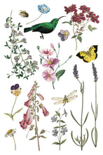 Load image into Gallery viewer, Wilde Bloemen IOD Transfer
