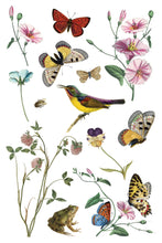 Load image into Gallery viewer, Wilde Bloemen IOD Transfer