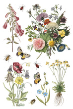 Load image into Gallery viewer, Wilde Bloemen IOD Transfer