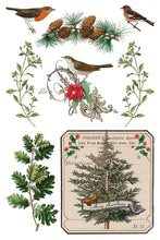 Load image into Gallery viewer, Winter Botanist IOD Decor Transfer *New Release*