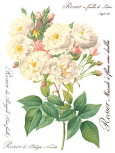 Load image into Gallery viewer, Rose Botanical IOD Decor Transfer