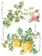 Load image into Gallery viewer, Rose Botanical IOD Decor Transfer