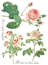 Load image into Gallery viewer, Rose Botanical IOD Decor Transfer