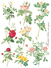 Load image into Gallery viewer, Rose Botanical IOD Decor Transfer