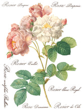 Load image into Gallery viewer, Rose Botanical IOD Decor Transfer