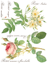 Load image into Gallery viewer, Rose Botanical IOD Decor Transfer