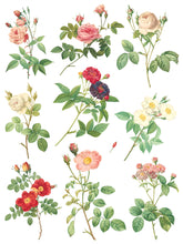 Load image into Gallery viewer, Rose Botanical IOD Decor Transfer