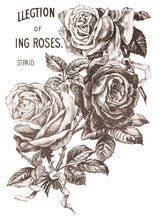 Load image into Gallery viewer, May's Roses IOD Decor Transfer