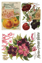 Load image into Gallery viewer, Seed Catalogue IOD Decor Transfer