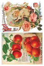 Load image into Gallery viewer, Seed Catalogue IOD Decor Transfer