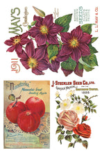 Load image into Gallery viewer, Seed Catalogue IOD Decor Transfer