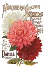 Load image into Gallery viewer, Seed Catalogue IOD Decor Transfer