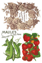 Load image into Gallery viewer, Seed Catalogue IOD Decor Transfer
