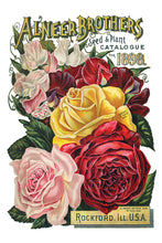 Load image into Gallery viewer, Seed Catalogue IOD Decor Transfer