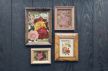 Load image into Gallery viewer, Seed Catalogue IOD Decor Transfer