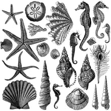 Load image into Gallery viewer, Seashore IOD Decor Stamp *Retiring*